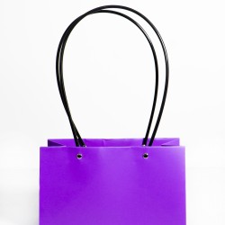 Пакет подарочный "Мастхэв" прямоугольный, 22х10х13 см, 10 шт./упак., фиолетовый